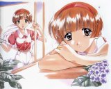 BUY NEW sentimental graffiti - 46495 Premium Anime Print Poster